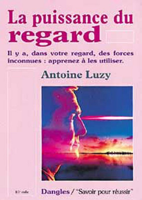 Puissance du regard - Antoine Luzy - Dangles