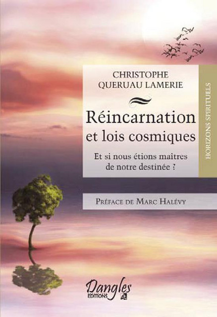 Réincarnation et lois cosmiques  - Christophe Queruau Lamerie - Dangles
